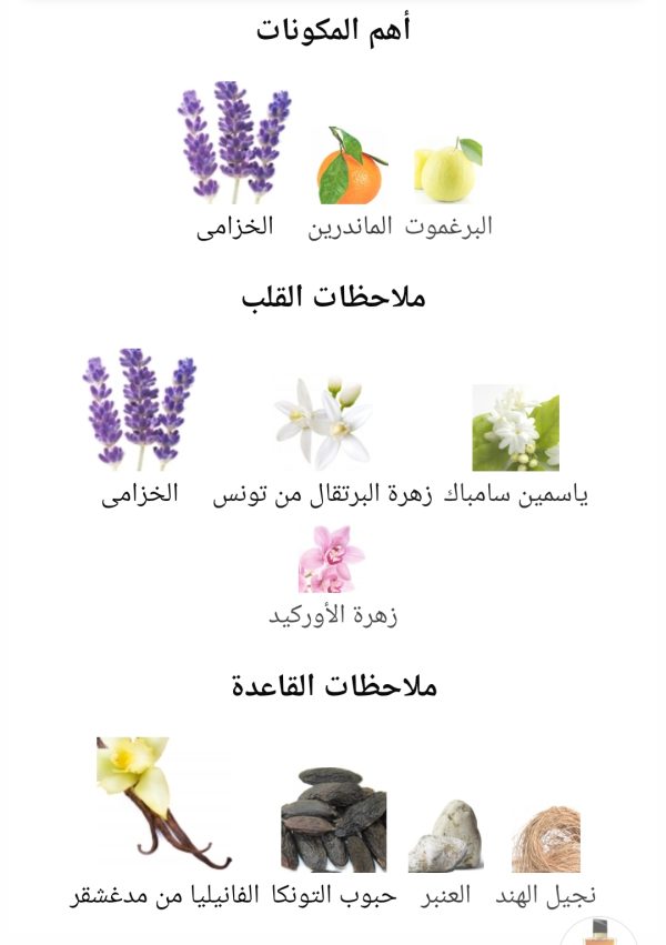  – Image 3